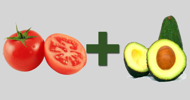 06 Combinações de alimentos que ajudam a melhorar sua saúde - tomate + abacate