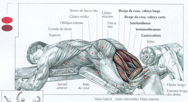 Exercícios para posterior de coxa ajudam no dia a dia