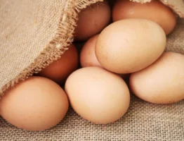 Qual o Segredo do Ovo